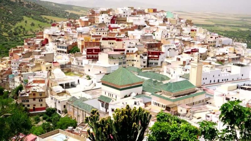 Full-Day Cultural Tour From Fes: Explore Volubilis & Meknes - An Introduction to the Experience