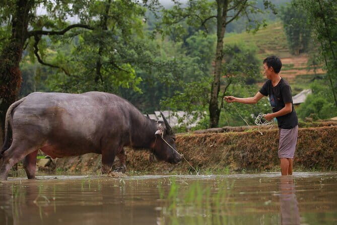 Full Day Cultural Tour in Sapa Terraces - The Full Experience: What to Expect