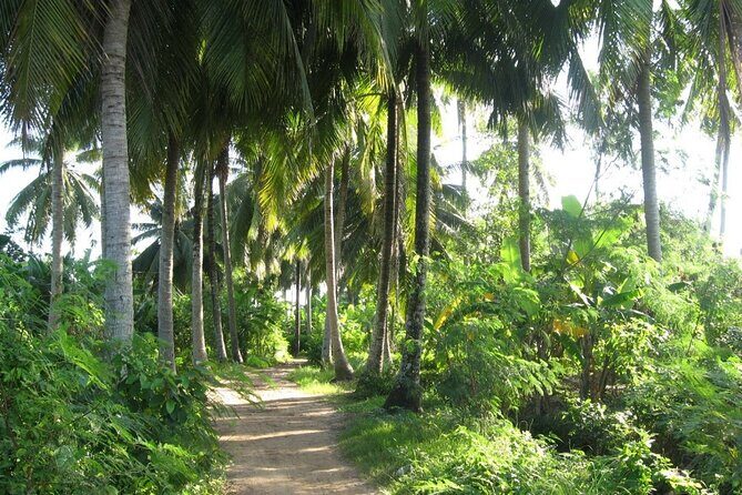 Full Day Deluxe Small Group Tour to Mekong Delta - The Sum Up