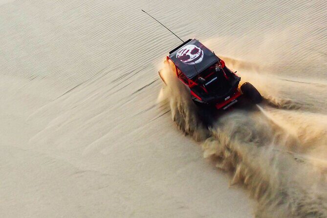 Full Day Desert Safari Doha/dinner included - What to Expect from the Full-Day Doha Desert Safari