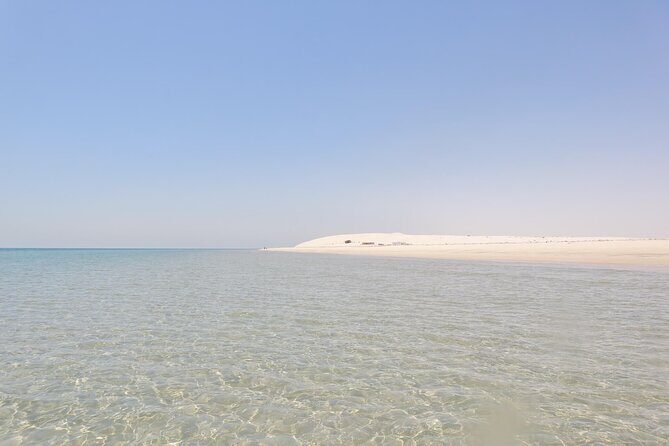 Full Day Desert Safari Doha/dinner included - Who Would Enjoy This Tour?