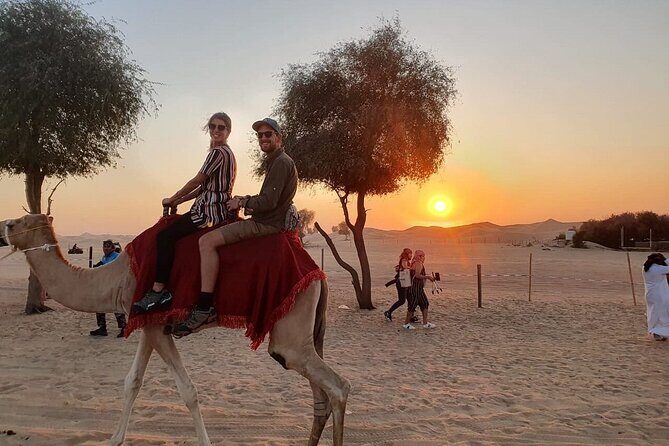 Full Day Desert Safari Experience with BBQ Dinner in Lahbab Dubai - Key Points