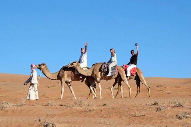 Full-Day Desert Safari Jeep Tour in Ash Sharqiyah Governorate - Why This Tour Offers Great Value