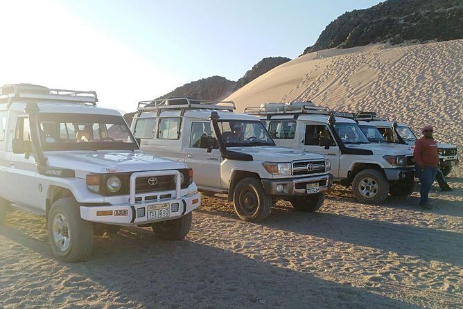 Full Day-Desert Safari To Sahara Park by jeep - Transportation & Group Size