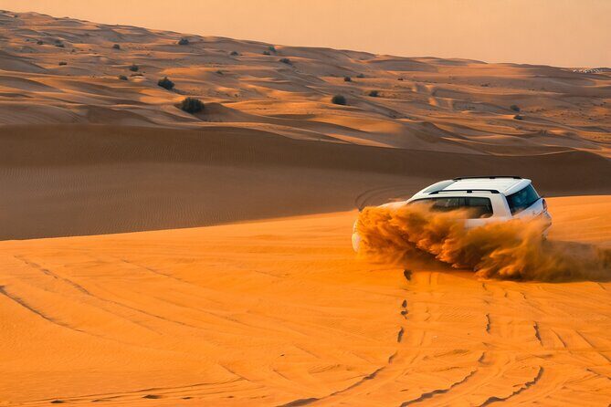 Full-Day Desert Safari with Buffet Dinner || Inland Sea Visit - Key Points