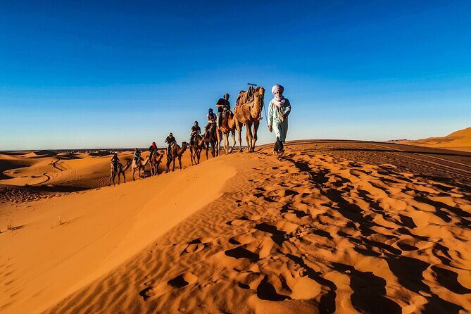 Full-Day Desert Safari with Buffet Dinner || Inland Sea Visit - FAQ