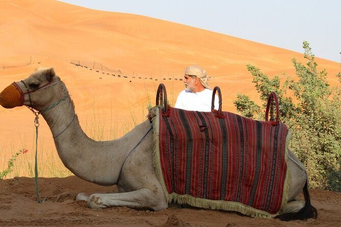 Full Day Desert Safari with Camp Access, Buffet Dinner,Camel Ride - Who Will Love This Experience?