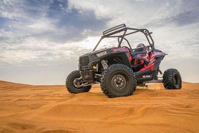 Full-Day Desert Safari with Dune Buggy Ride in Dubai - Who Is This Tour Best For?