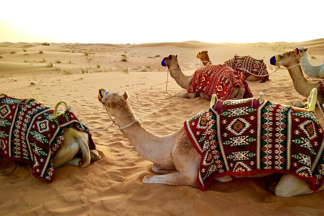 Full-Day DesertSafari with Camel Ride,InlandSea & BBQ Desert Camp - The Sum Up