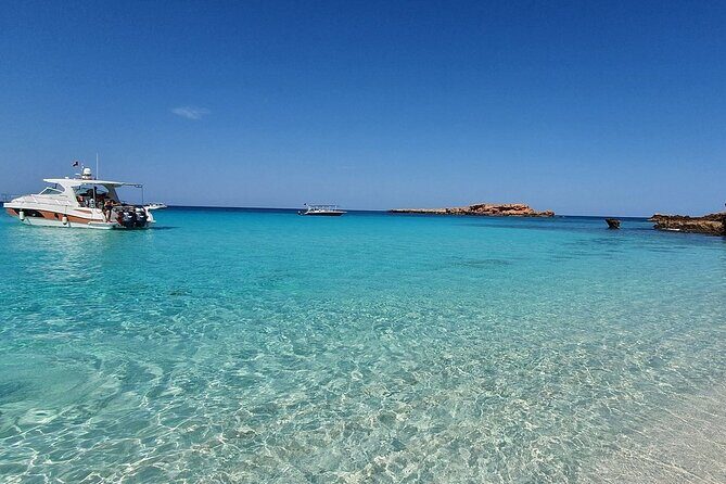 Full Day Dimaniyat Island Excursion - Key Points  