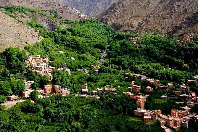 Full Day Discovery of Ouzoud Waterfalls from Marrakech - The Sum Up
