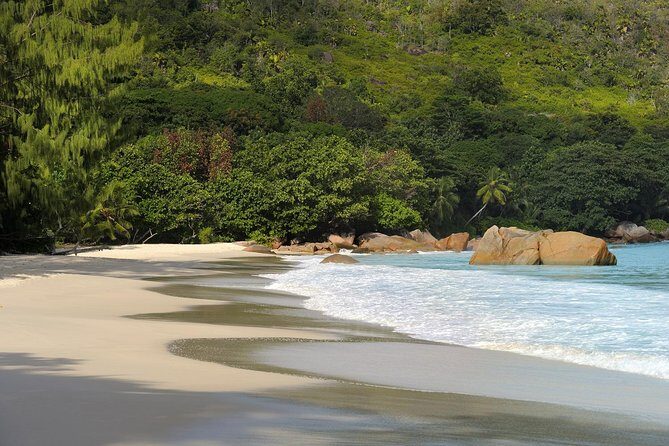 Full Day Discovery Tour of Vallee de Mai and Anse Lazio on Praslin Island - Practical Details and Tips
