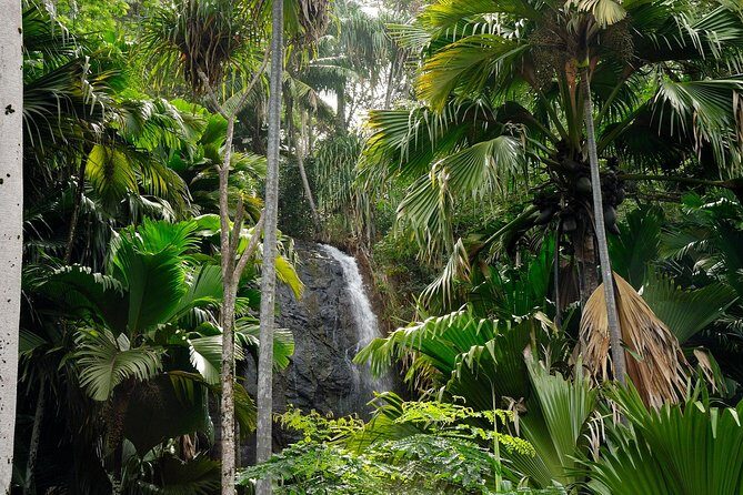 Full Day Discovery Tour of Vallee de Mai and Anse Lazio on Praslin Island - FAQ
