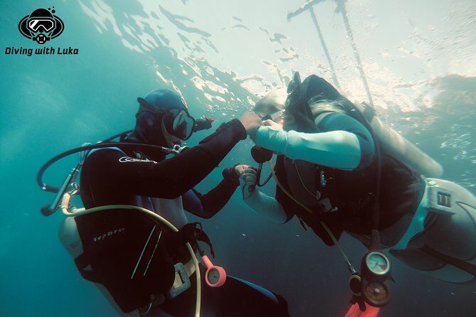 Full day diving with private guide, lunch drinks transportation - Key Points