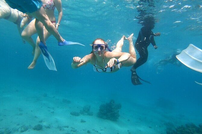 Full-day Dolphin House And Swim With Dolphin - Final Thoughts