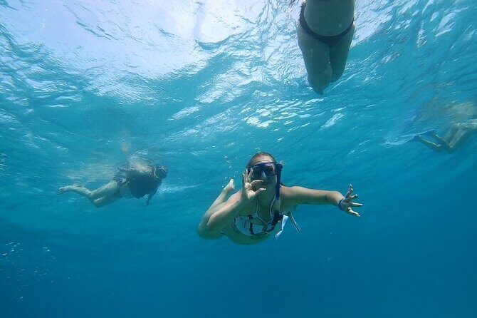 Full-day Dolphin House And Swim With Dolphin - FAQs