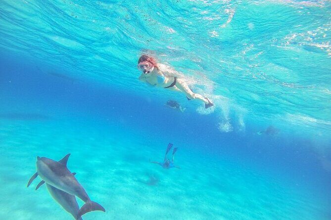 Full-Day Dolphin House from Hurghada - An In-Depth Look at the Tour Experience