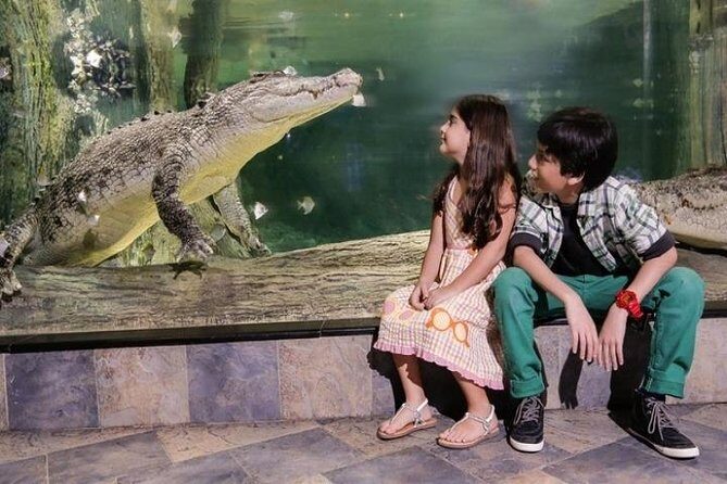 Full Day Dubai City Tour: Burj Khalifa & Underwater Zoo Ticket - Final Thoughts: Is This Tour Right for You?