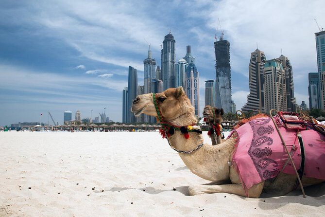 Full Day Dubai Tour with Lunch and Entry to Burj Khalifa - Key Points