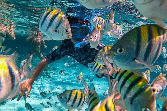 Full Day East Bali Tour - The Sum Up