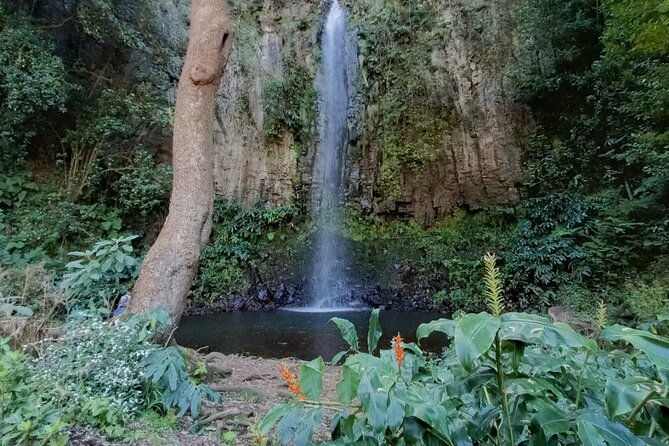 full-day-east-true-montains-to-santana-and-ponta-de-sao-lorenco