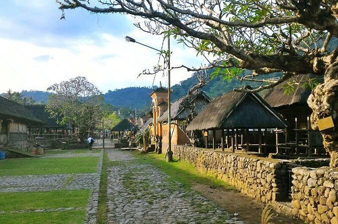 Full Day Eastern Bali with Lempuyang Gate of Heaven Tour - Stop 4: Tenganan Ancient Village