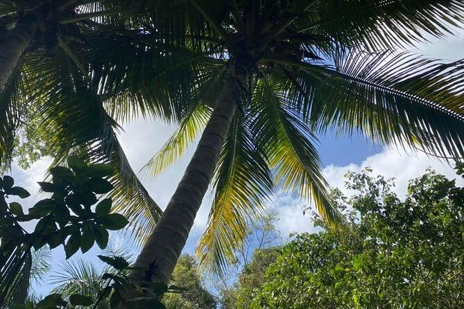 full-day-eastern-island-tour