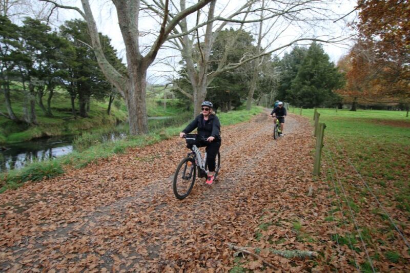 Full Day Ebike Tour - Karangahake Gorge NZ - Full Day Ebike Tour – Karangahake Gorge NZ: A Scenic Ride into Gold Country  