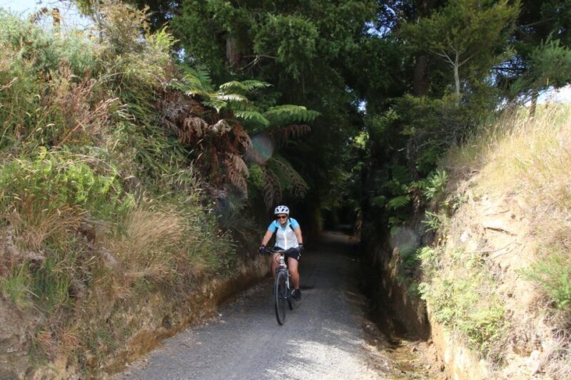 Full Day Ebike Tour - Karangahake Gorge NZ - Exploring the Scenic and Historic Karangahake Gorge  