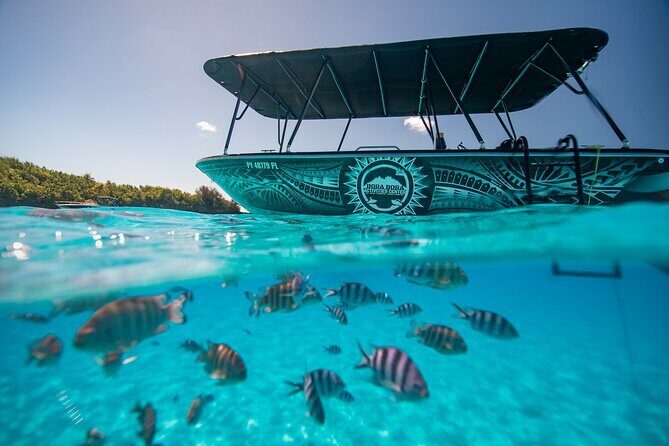 Full Day Eco Snorkeling & Traditional BBQ Lunch on a Motu - Exploring Bora Bora’s Underwater World