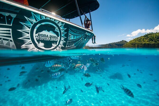 Full Day Eco Snorkeling & Traditional BBQ Lunch on a Motu - The Sum Up