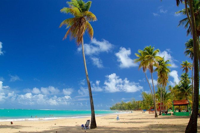full-day-el-yunque-rainforest-group-deals