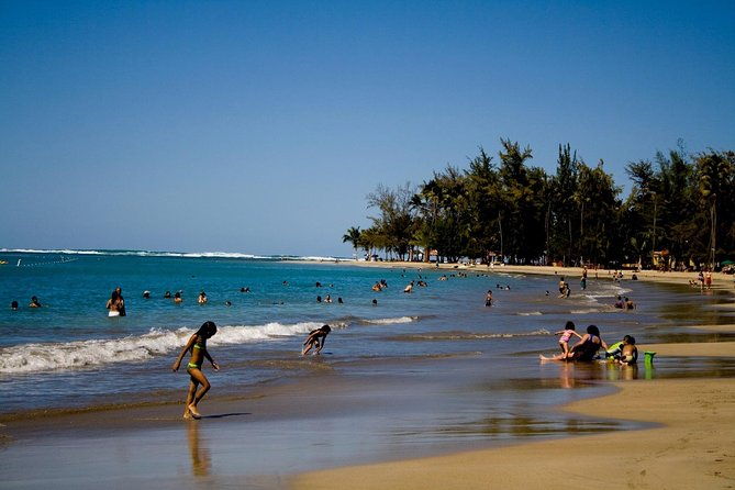 full-day-el-yunque-rainforest-group-deals