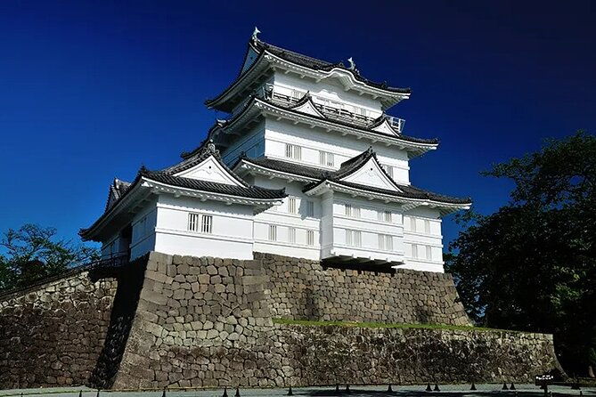 full-day-enoura-observatory-and-hakone-hot-spring-private-tour