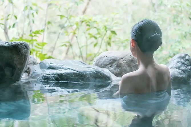 full-day-enoura-observatory-and-hakone-hot-spring-private-tour