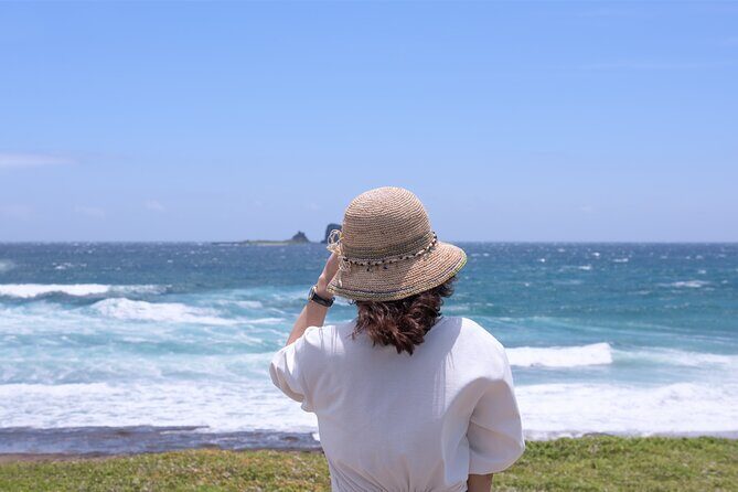 Full Day Essential Jeju Island Private tour for West Course - Key Points