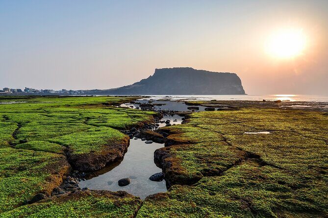 Full Day Essential Jeju Island Private tour for West Course - A Detailed Look at the Itinerary