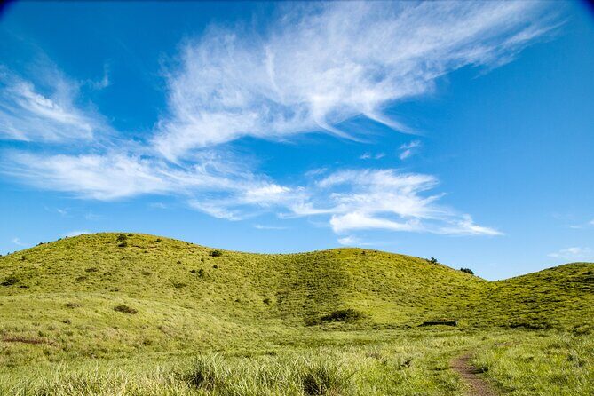 Full Day Essential Jeju Island Private tour for West Course - The Experience Beyond the Sights