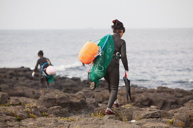 Full Day Essential Jeju Island Private tour for West Course - What the Price Buys You