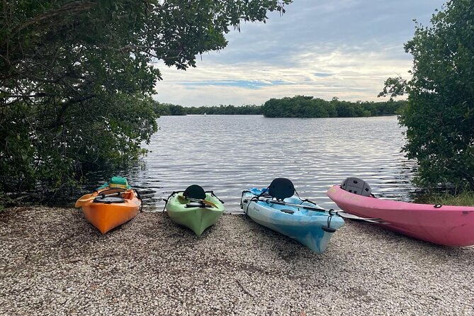 full-day-everglades-combo-motorboat-eco-and-kayak-tour