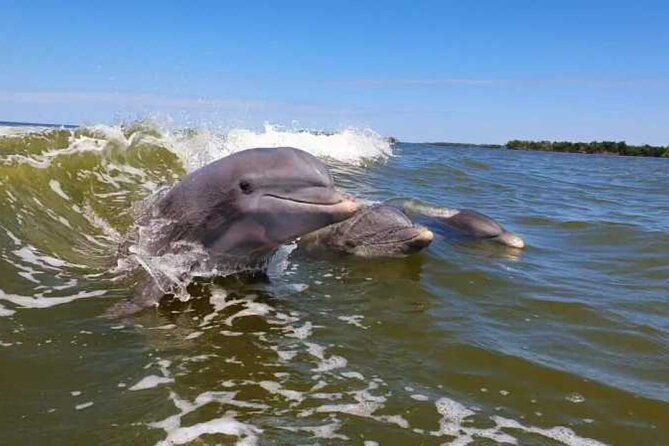 full-day-everglades-combo-motorboat-eco-and-kayak-tour
