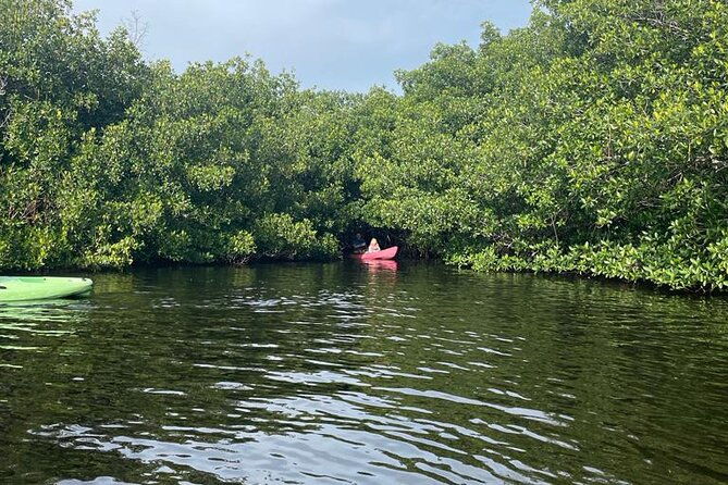 full-day-everglades-combo-motorboat-eco-and-kayak-tour