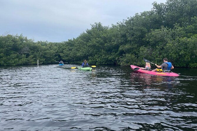 full-day-everglades-combo-motorboat-eco-and-kayak-tour
