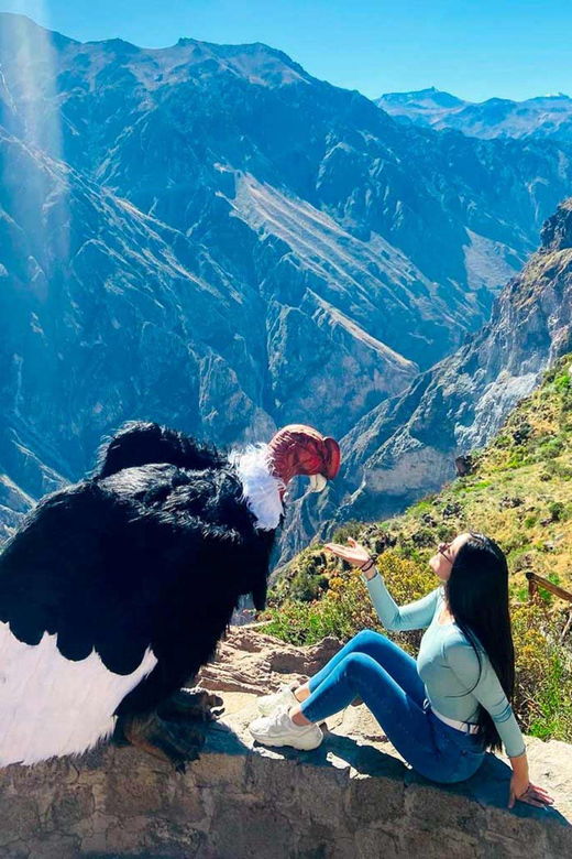 full-day-excursion-to-colca-canyon
