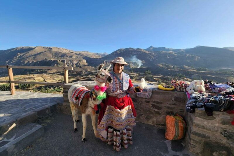 full-day-excursion-to-colca-canyon