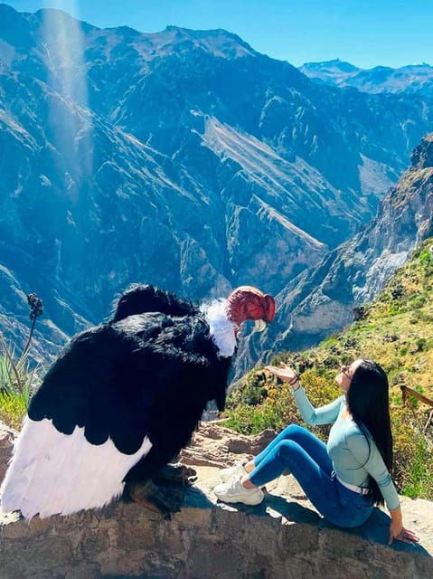 full-day-excursion-to-colca-canyon
