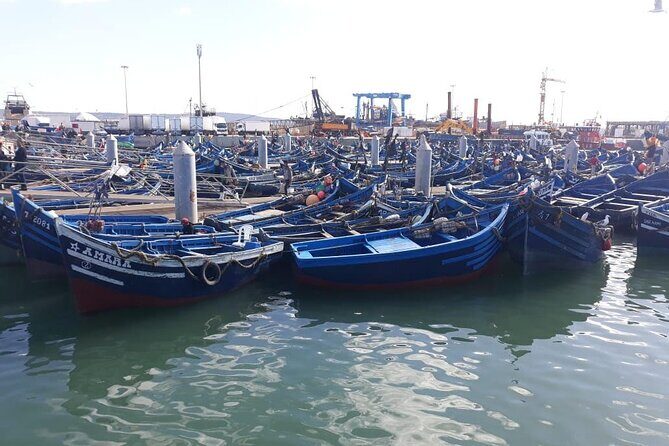 Full-Day Excursion to Essaouira from Marrakech - Exploring the Old Port of Mogador
