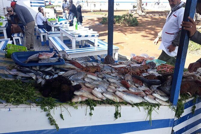 Full-Day Excursion to Essaouira from Marrakech - Practical Details and What to Bring