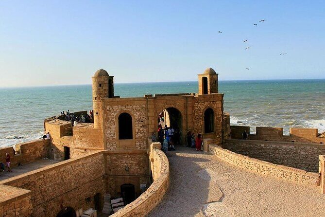 Full-Day Excursion To Essaouira Highlights From Casablanca - Journey to Essaouira: What to Expect