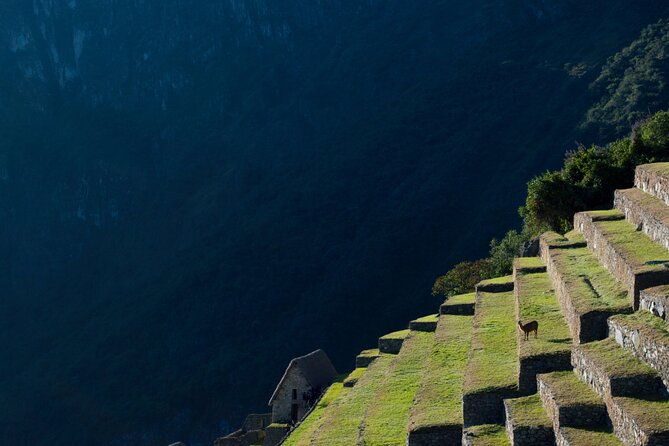 full-day-excursion-to-machu-picchu-from-cusco